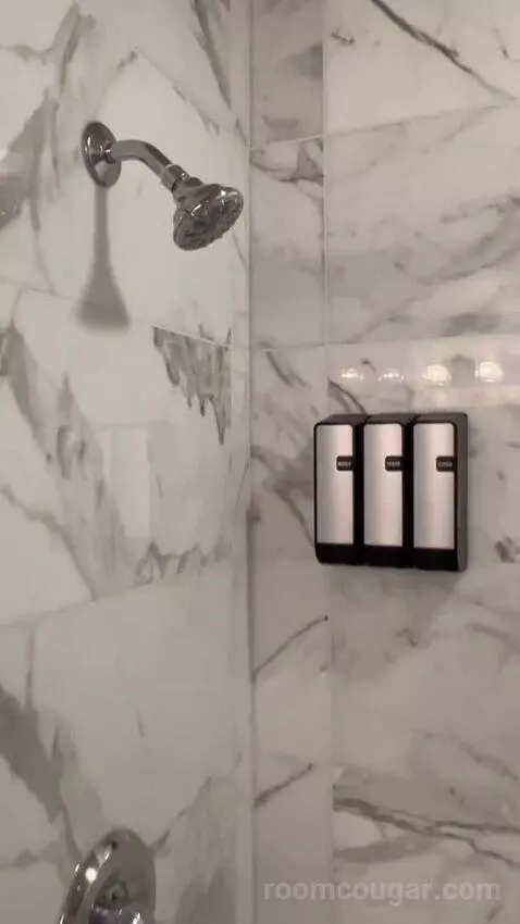 Penthouse (#2503) bathroom picture #3