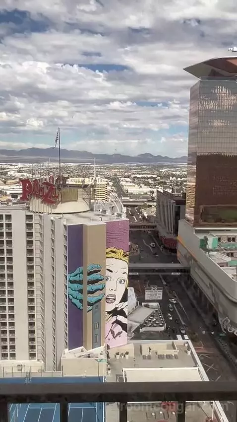 Penthouse (#2503) view picture #8