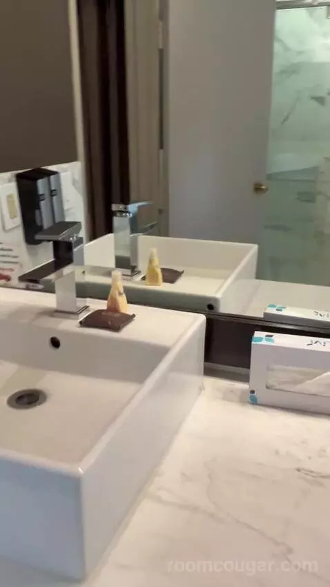 Penthouse (#2503) bathroom picture #9