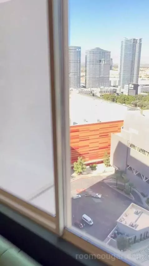 Park Mgm Stay Well Room Strip View (#23122) view picture #3