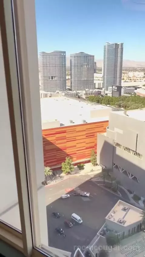 Park Mgm Stay Well Room Strip View (#23122) view picture #5