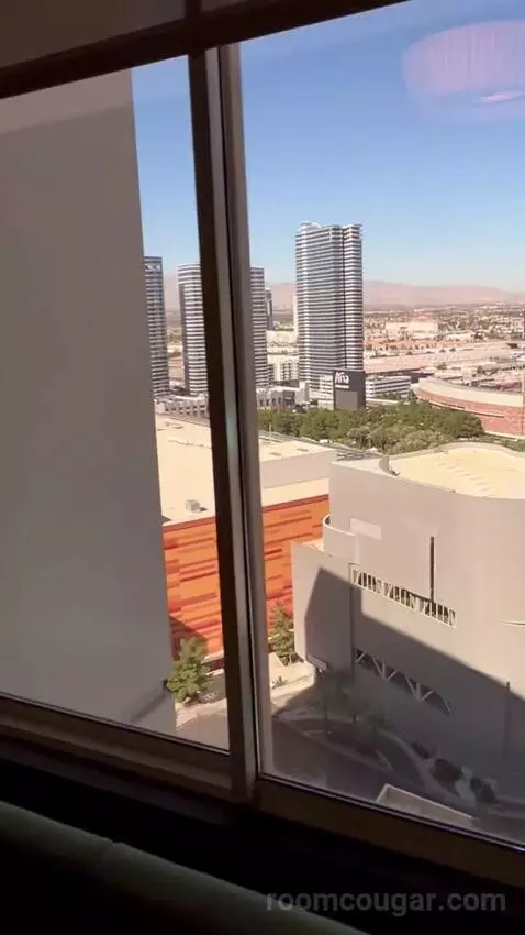 Park Mgm Stay Well Room Strip View (#23122) view picture #10