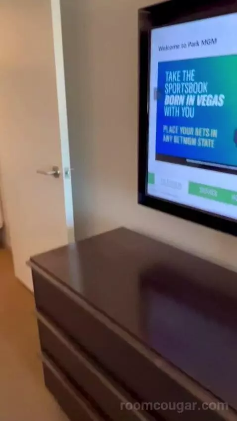 Park Mgm Nightingale Suite (#24132) picture #13