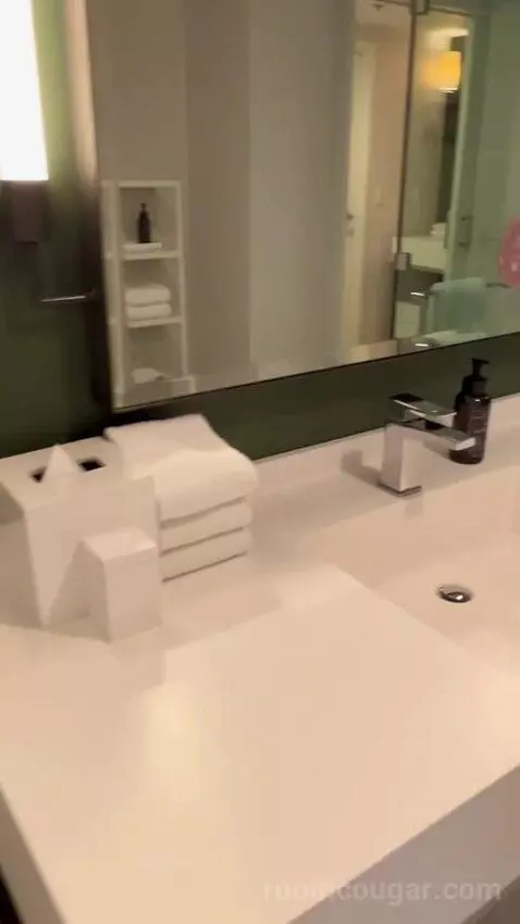 Park Mgm Nightingale Suite (#24132) bathroom picture #4