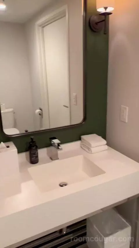 Park Mgm Nightingale Suite (#24132) bathroom picture #10