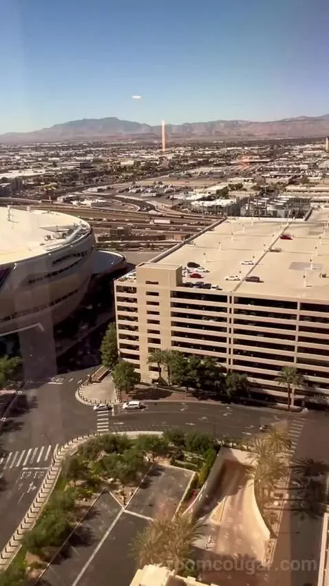 Park Mgm Nightingale Suite (#24132) view picture #2
