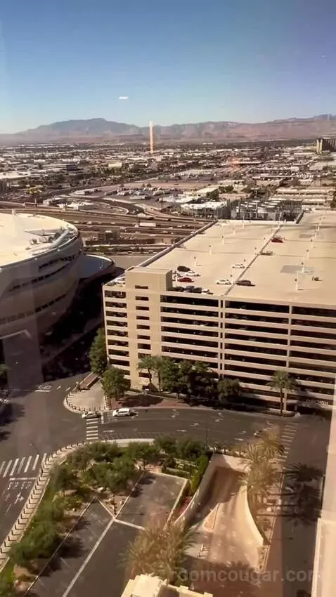 Park Mgm Nightingale Suite (#24132) view picture #3