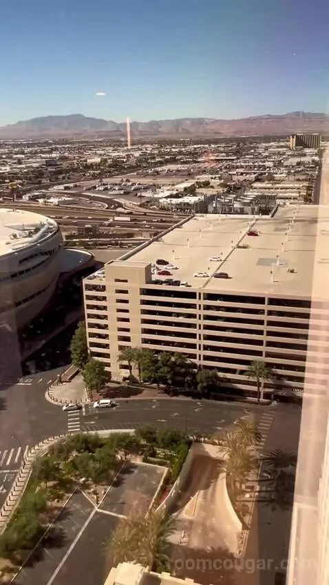 Park Mgm Nightingale Suite (#24132) view picture #4