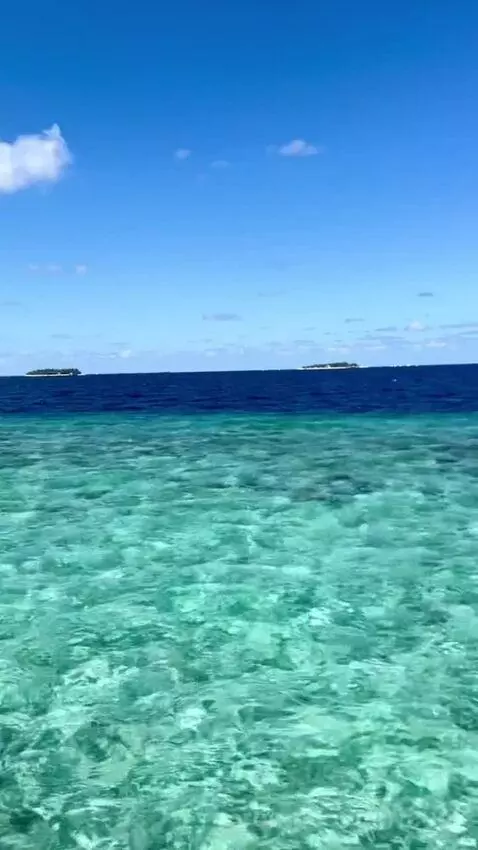 Water Villa with Private Pool (#322) view picture #7