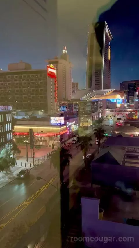 Gallery Deluxe King Bed (#3662) view picture #12