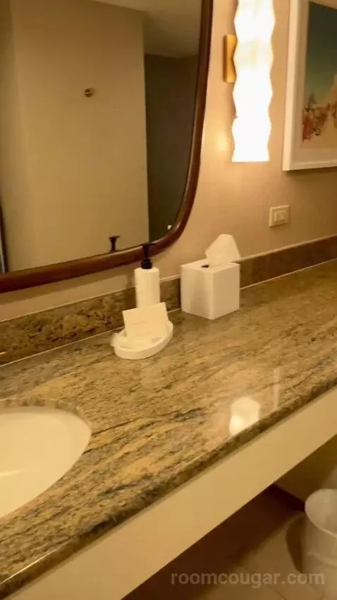 Deluxe Queen Room with Two Queen Beds - High Floor bathroom picture #10