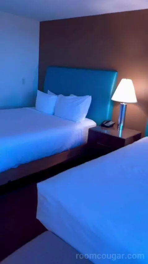 Rio Hotel & Casino Mascarade Tower Deluxe Queen Room review by proliv