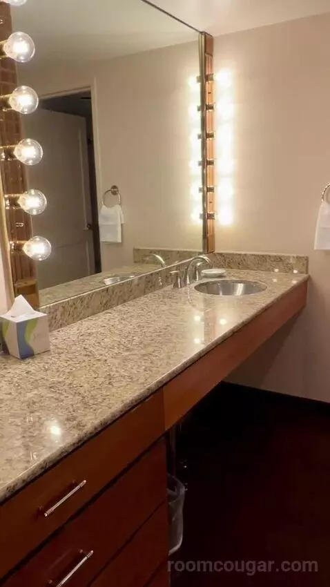 Mascarade Tower Deluxe Queen Room bathroom picture #2