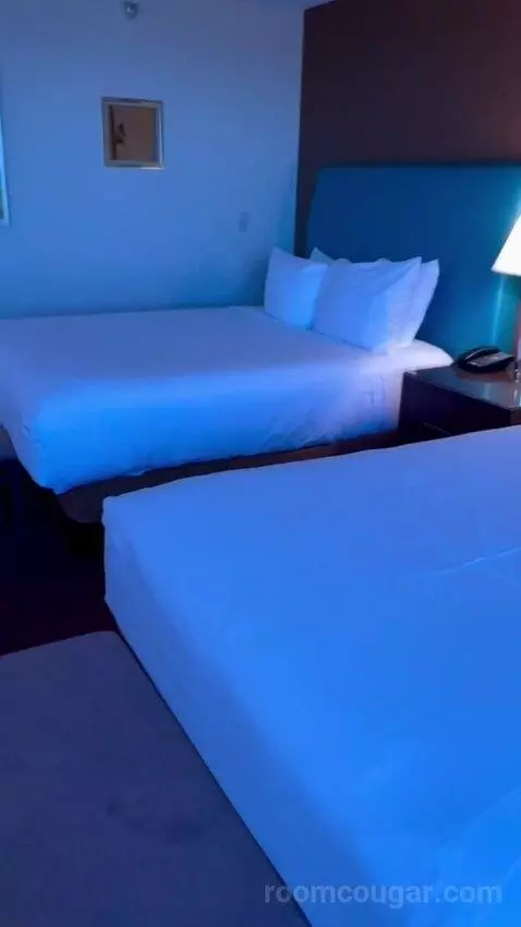 Mascarade Tower Deluxe Queen Room picture #24