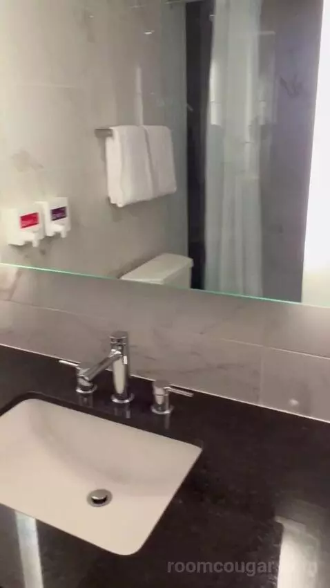 Premium Room 1 King (#13004) bathroom picture #2