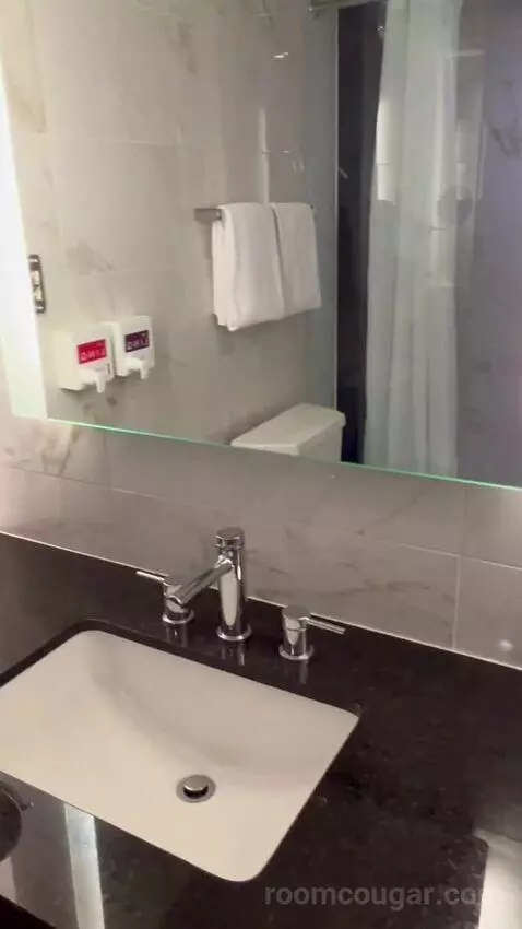 Premium Room 1 King (#13004) bathroom picture #3