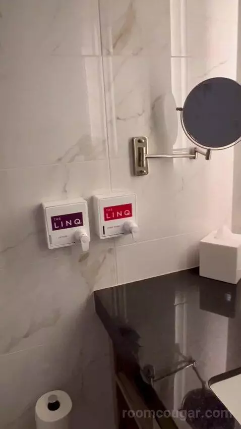 Premium Room 1 King (#13004) bathroom picture #4