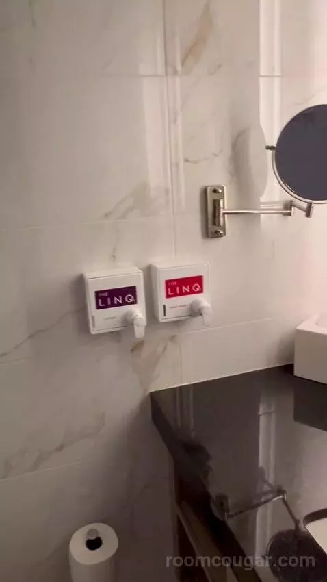 Premium Room 1 King (#13004) bathroom picture #5