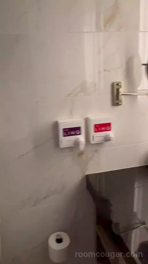 Premium Room 1 King (#13004) bathroom picture #6