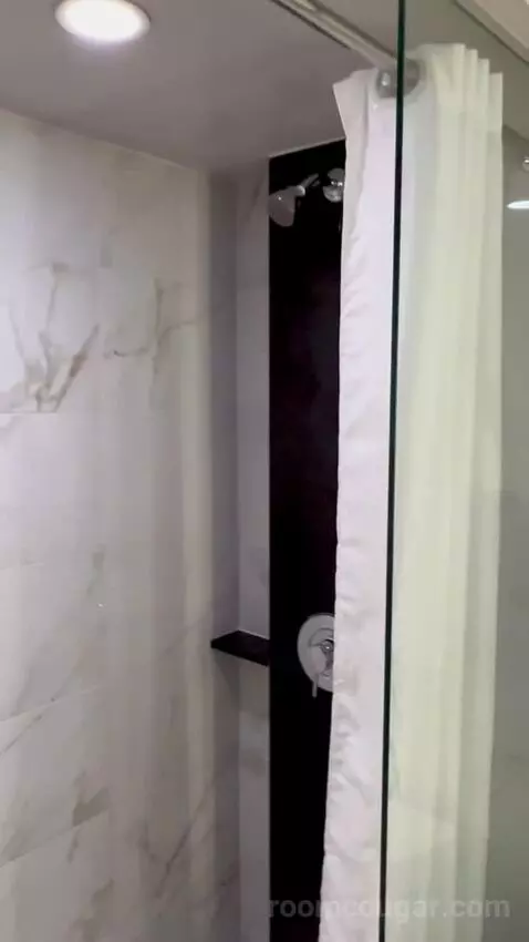 Premium Room 1 King (#13004) bathroom picture #7