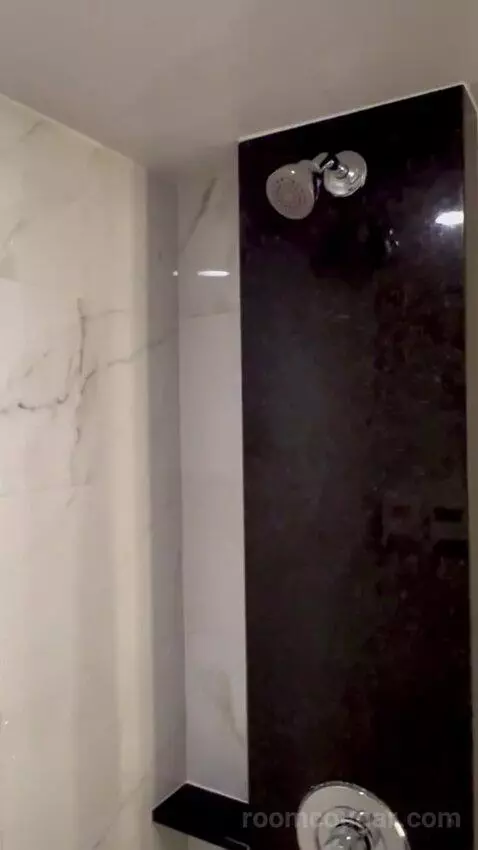 Premium Room 1 King (#13004) bathroom picture #10