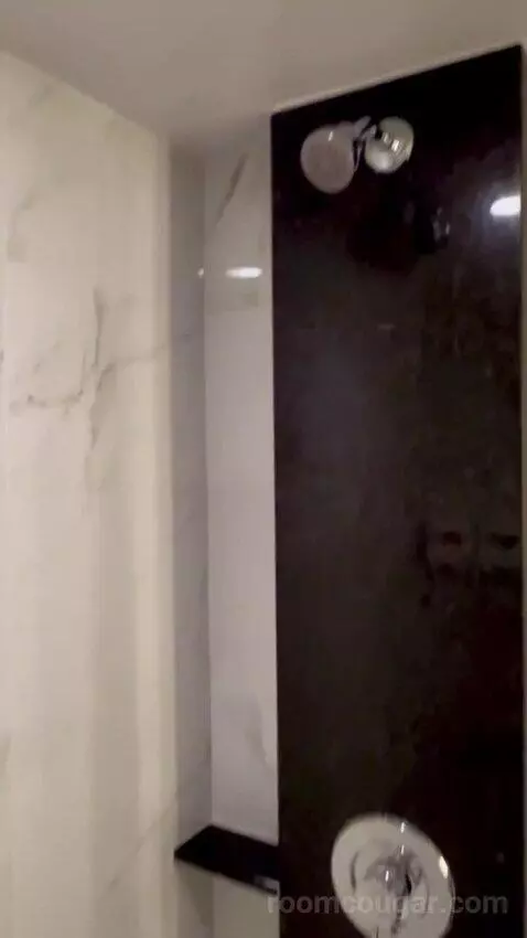 Premium Room 1 King (#13004) bathroom picture #11