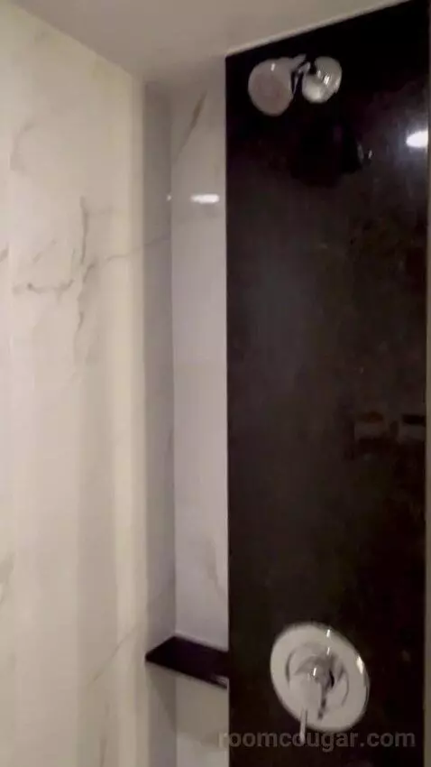 Premium Room 1 King (#13004) bathroom picture #12