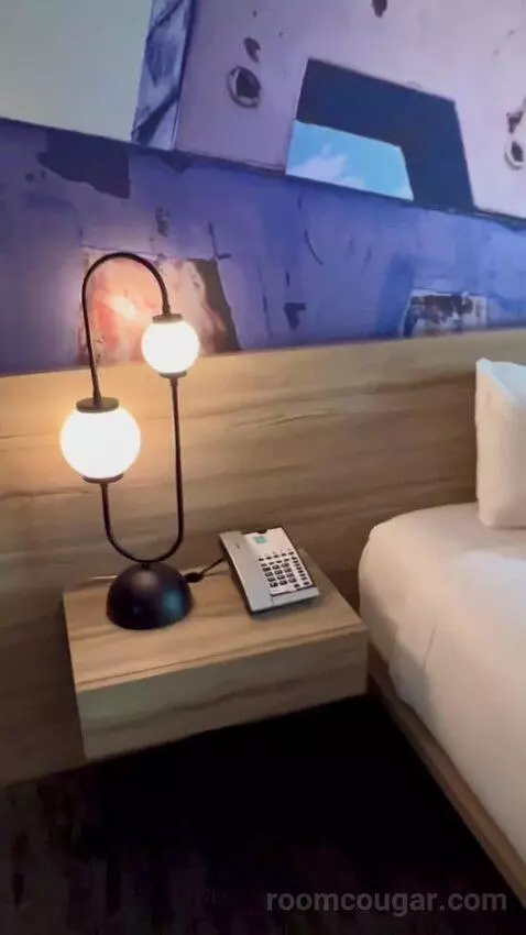 Premium Room 1 King (#13004) bed picture #4