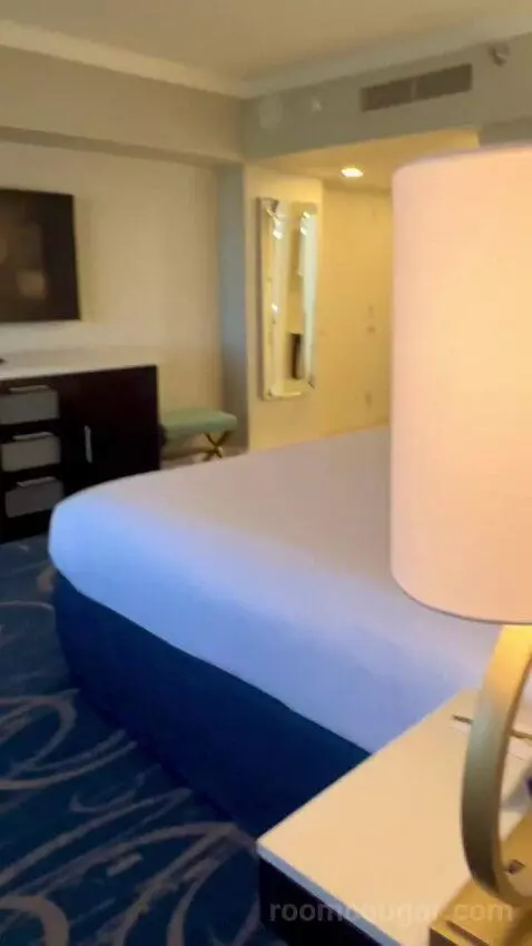 North Tower Suite (#21122) picture #11