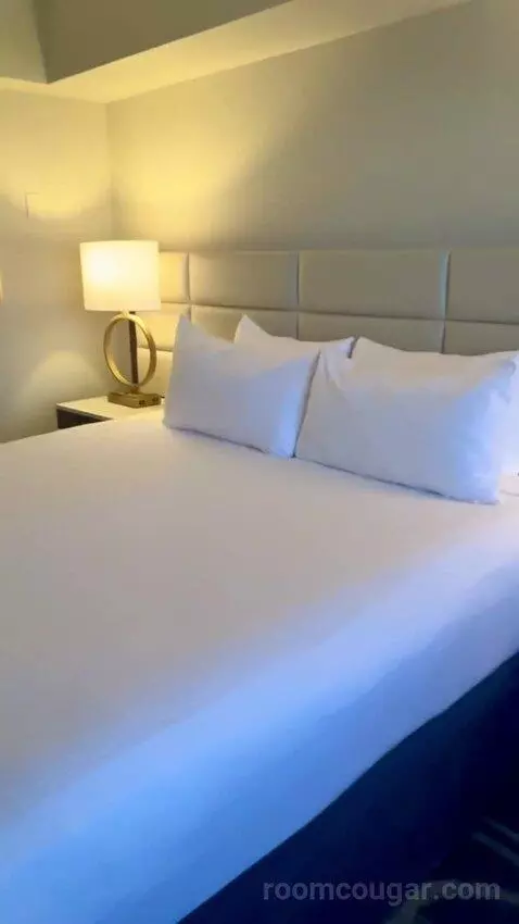 North Tower Suite (#21122) picture #12