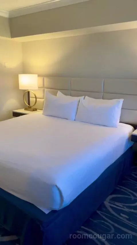 North Tower Suite (#21122) picture #13