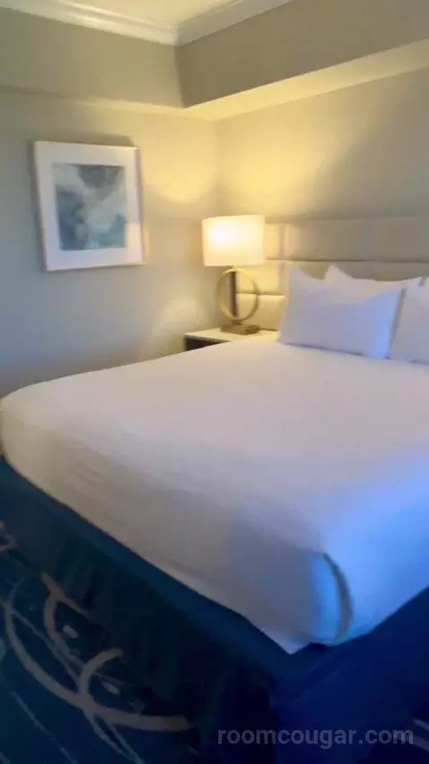 North Tower Suite (#21122) picture #14