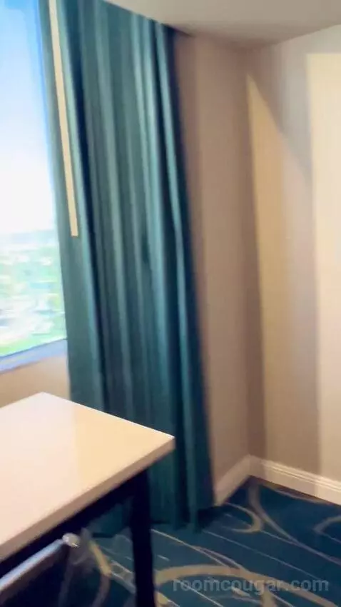 North Tower Suite (#21122) picture #15