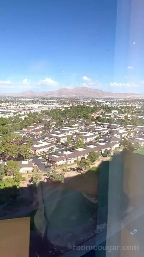 North Tower Suite (#21122) view picture #4