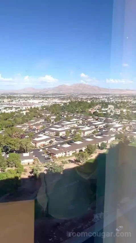 North Tower Suite (#21122) view picture #8