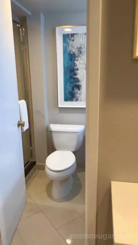 North Tower Suite (#21122) bathroom picture #4