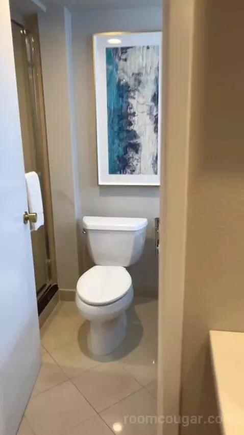 North Tower Suite (#21122) bathroom picture #5