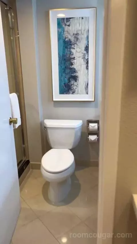 North Tower Suite (#21122) bathroom picture #6