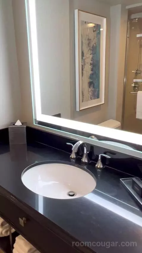 North Tower Suite (#21122) bathroom picture #7