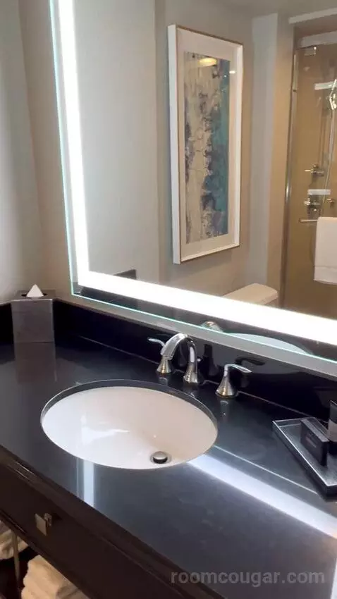 North Tower Suite (#21122) bathroom picture #8