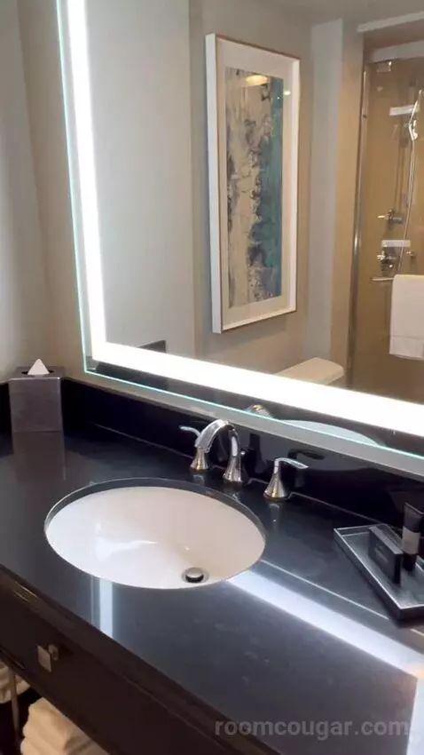 North Tower Suite (#21122) bathroom picture #9