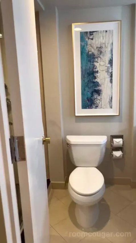 North Tower Suite (#21122) bathroom picture #10