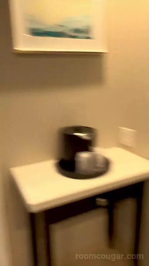 North Tower Suite (#21122) picture #24