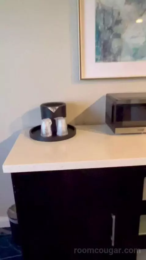 North Tower Suite (#21122) picture #8