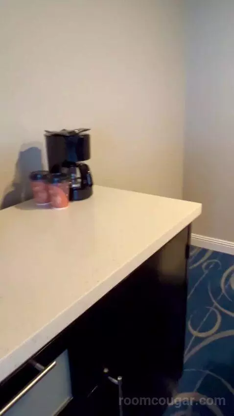 North Tower Suite (#21122) bathroom picture #3