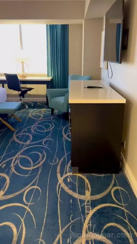 Luxe Room (#19105) picture #1