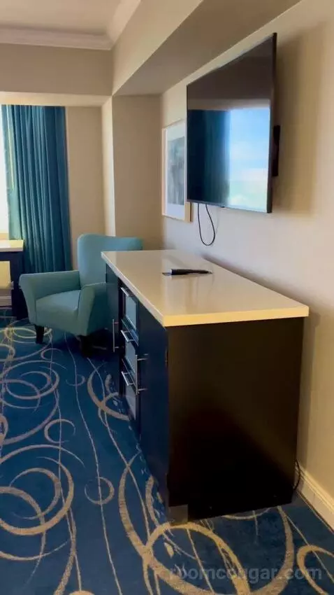 Luxe Room (#19105) picture #2