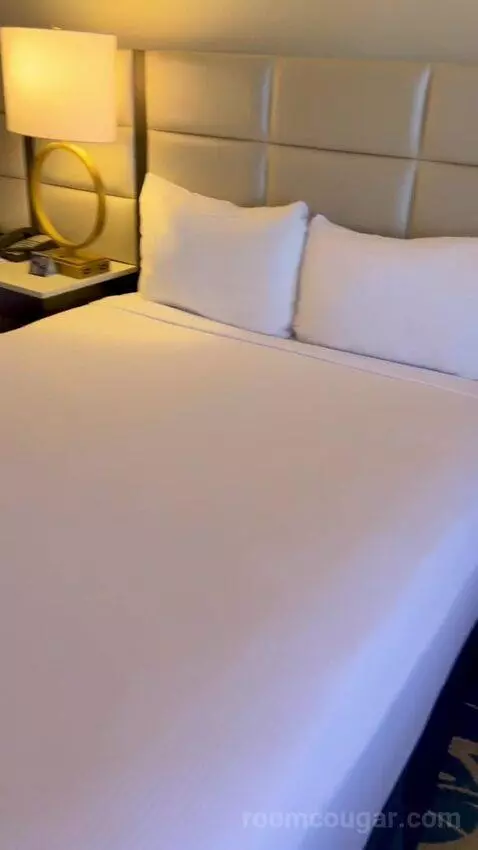 Luxe Room (#19105) picture #12