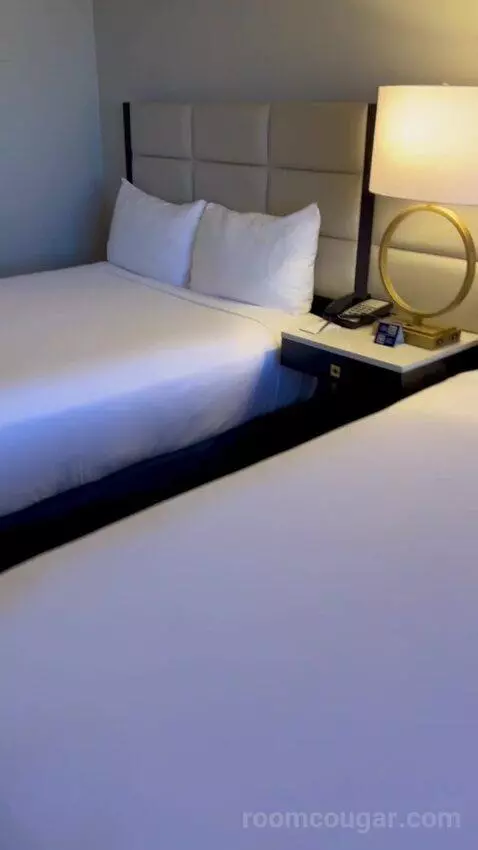 Luxe Room (#19105) bed picture #1