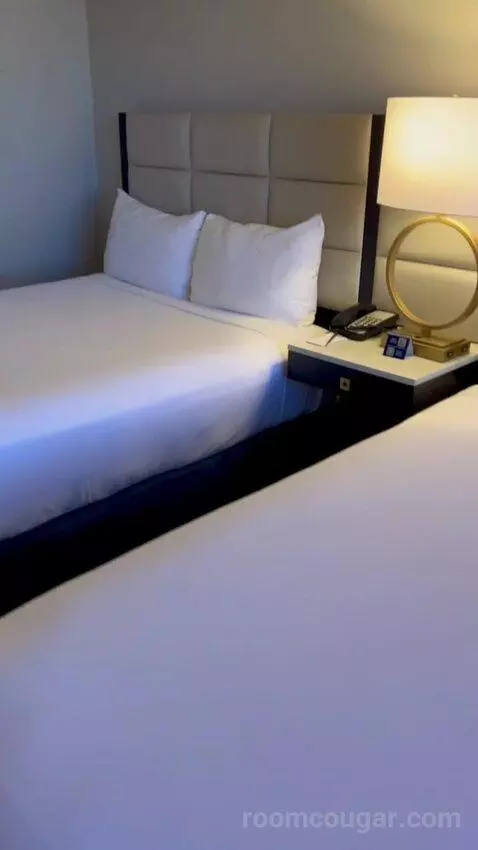 Luxe Room (#19105) bed picture #2